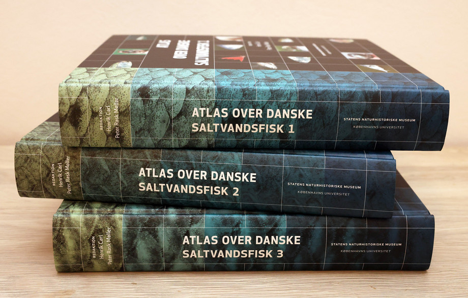 Atlas over danske saltvandsfisk dokumenterer udbredelsen af i alt 214 fiskearter og vejer 9,6 kg. Foto: Henrik Carl 